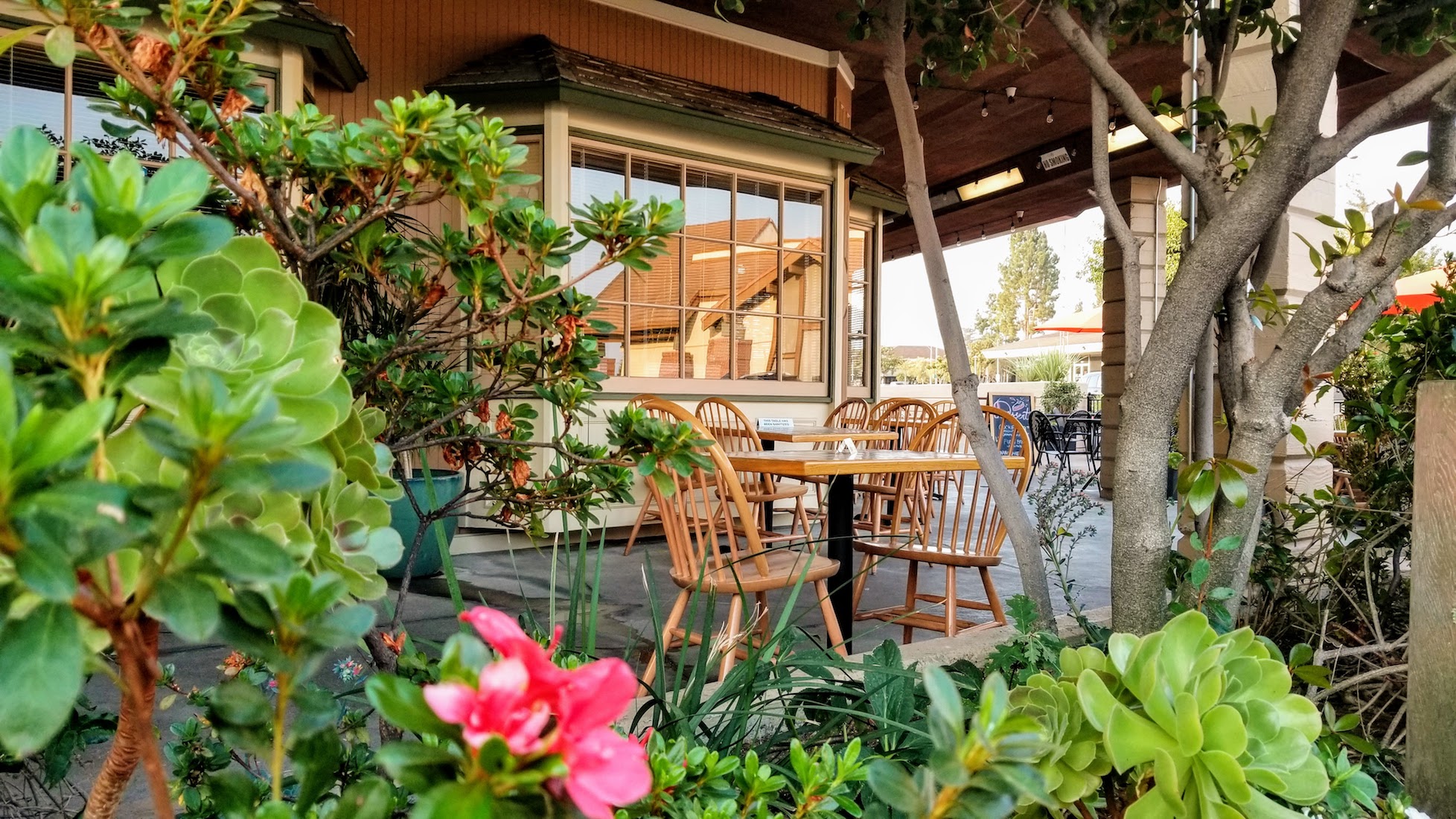 View of outdoor patio seating with tables and umbrellas at Country Gourmet restaurant in Sunnyvale.
